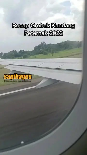 Recap-Grebek-Kandang-Peternak-Sapi-2022